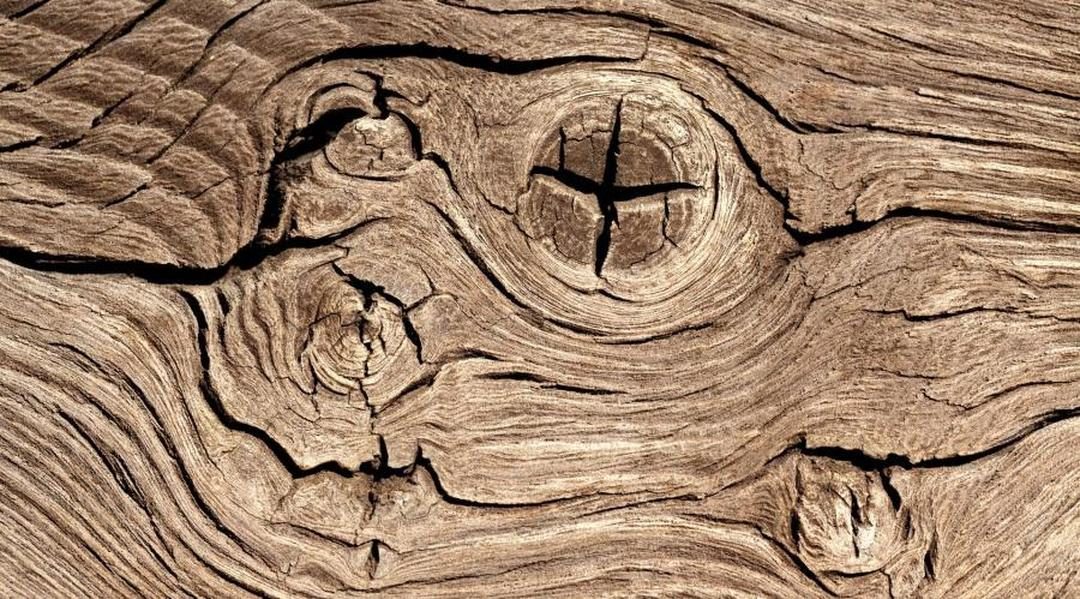 Dřevo jako obnovitelný a znovu využitelný materiál